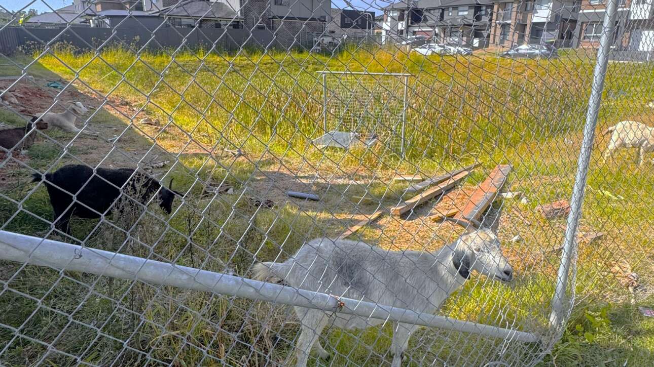 temp OSD basin in growth centre